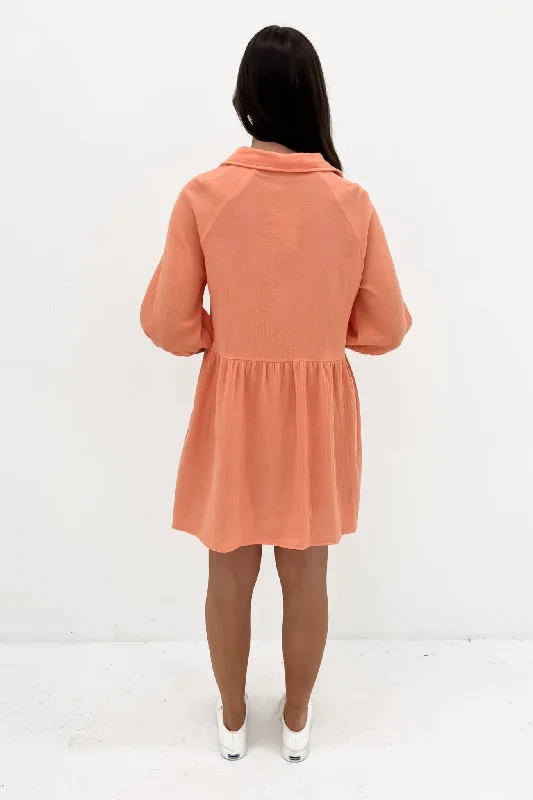 Zadie Mini Dress Orange