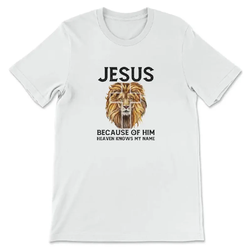 lion-jesus-because-of-him-heaven-knows-my-name-womens-t-shirt