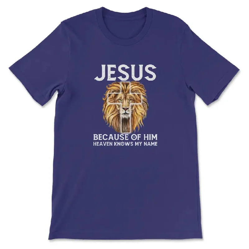 lion-jesus-because-of-him-heaven-knows-my-name-womens-t-shirt